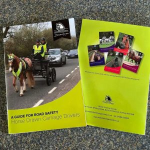 A Guide to Road Safety for Harness Horse Drivers